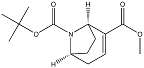 8-tert-butyl 2-methyl (1R,5S)-8-azabicyclo[3.2.1]oct-2-ene-2,8-dicarboxylate