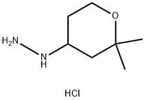 (2,2-dimethyloxan-4-yl)hydrazine hydrochloride 化学構造式