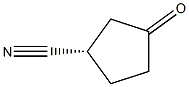 (S)-3-oxocyclopentane-1-carbonitrile|(S)-3-氧代环戊烷-1-甲腈