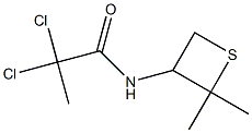 2,2-dichloro-N-(2,2-dimethylthietan-3-yl)propanamide Structure