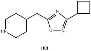 4-[(3-cyclobutyl-1,2,4-oxadiazol-5-yl)methyl]piperidine hydrochloride Struktur
