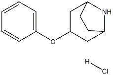 3-phenoxy-8-azabicyclo[3.2.1]octane hydrochloride, 1955540-15-4, 结构式