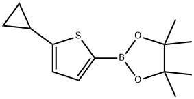 5-(Cyclopropyl)thiophene-2-boronic acid pinacol ester,1979157-06-6,结构式