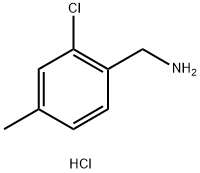 2-CHLORO-4-METHYLBENZYLAMINE Hydrochloride|(2-氯-4-甲基苯基)甲胺盐酸盐