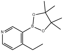 4-Ethylpyridine-3-boronic Acid Pinacol Ester 化学構造式