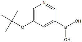 (5-(tert-butoxy)pyridin-3-yl)boronic acid Structure