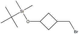 [3-(bromomethyl)cyclobutoxy](tert-butyl)dimethylsilane, 2169182-97-0, 结构式