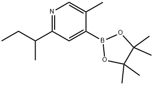 5-Methyl-2-(sec-butyl)pyridine-4-boronic acid pinacol ester Struktur