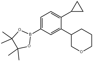 2-(4-cyclopropyl-3-(tetrahydro-2H-pyran-3-yl)phenyl)-4,4,5,5-tetramethyl-1,3,2-dioxaborolane 化学構造式