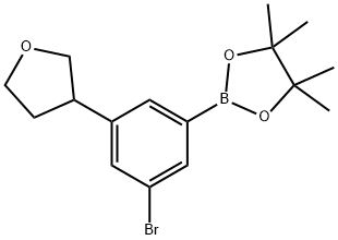 3-Bromo-5-(3-tetrahydrofuranyl)phenylboronic acid pinacol ester Struktur