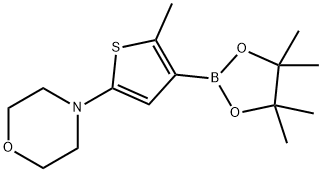 2-Methyl-5-(morpholino)thiophene-3-boronic acid pinacol ester 化学構造式