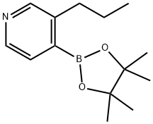 3-(n-Propyl)pyridine-4-boronic acid pinacol ester Struktur