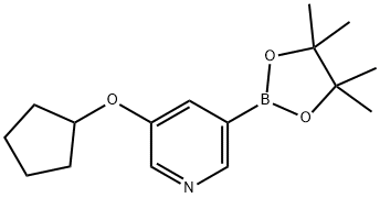 5-(Cyclopentoxy)pyridine-3-boronic acid pinacol ester Struktur