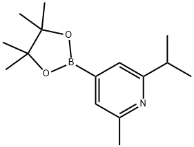 2-(iso-Propyl)-6-methylpyridine-4-boronic acid pinacol ester 化学構造式