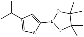 4-(iso-Propyl)thiophene-2-boronic acid pinacol ester 化学構造式