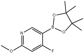 4-fluoro-2-methoxy-5-(4,4,5,5-tetramethyl-1,3,2-dioxaborolan-2-yl)pyridine Structure