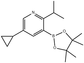 2-(iso-Propyl)-5-cyclopropylpyridine-3-boronic acid pinacol ester,2223034-02-2,结构式