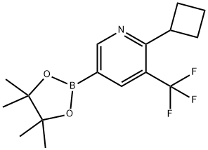 2-cyclobutyl-5-(4,4,5,5-tetramethyl-1,3,2-dioxaborolan-2-yl)-3-(trifluoromethyl)pyridine Structure