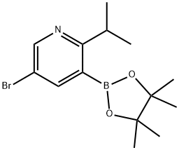 5-Bromo-2-(iso-propyl)pyridine-3-boronic acid pinacol ester Structure