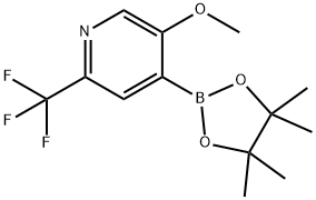 5-Methoxy-2-trifluoromethylpyridine-4-boronic acid pinacol ester Structure