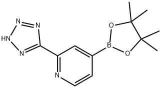 2-(1H-Tetraazol-5-yl)pyridine-4-boronic acid pinacol ester,2223044-96-8,结构式
