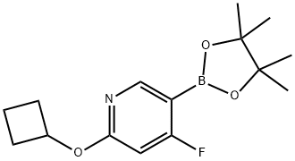 2-cyclobutoxy-4-fluoro-5-(4,4,5,5-tetramethyl-1,3,2-dioxaborolan-2-yl)pyridine Struktur