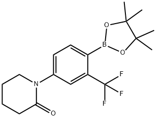 1-[4-(TETRAMETHYL-1,3,2-DIOXABOROLAN-2-YL)-3-TRIFLUOROMETHYLPHENYL]PIPERIDIN-2-ONE Structure