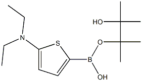 5-(Diethylamino)thiophene-2-boronic acid pinacol ester Structure