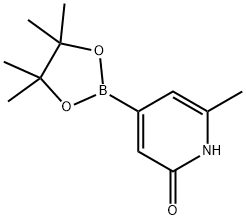 2-Hydroxy-6-methylpyridine-4-boronic acid pinacol ester Struktur