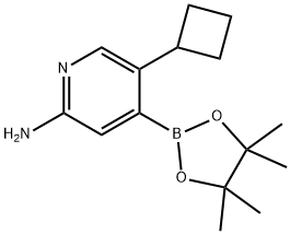 2-Amino-5-cyclobutylpyridine-4-boronic acid pinacol ester 结构式