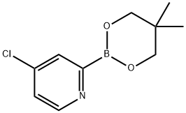 4-Chloropyridine-2-boronic acid neopentylglycol ester 化学構造式