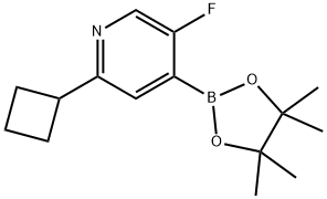 2-cyclobutyl-5-fluoro-4-(4,4,5,5-tetramethyl-1,3,2-dioxaborolan-2-yl)pyridine 化学構造式