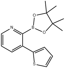 3-(2-Thienyl)pyridine-2-boronic acid pinacol ester 结构式