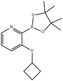 3-(Cyclobutoxy)pyridine-2-boronic acid pinacol ester Structure