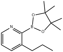 3-(n-Propyl)pyridine-2-boronic acid pinacol ester 化学構造式