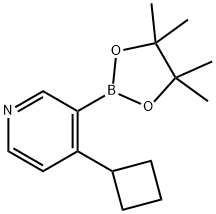 4-(Cyclobutyl)pyridine-3-boronic acid pinacol ester Struktur