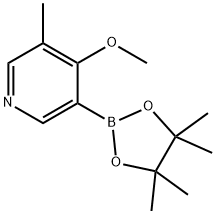 5-Methyl-4-methoxypyridine-3-boronic acid pinacol ester Struktur