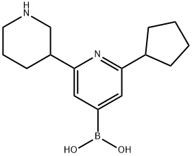 2-Cyclopentyl-6-(piperidin-3-yl)pyridine-4-boronic acid|