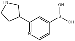 2-(PYRROLIDIN-3-YL)PYRIDINE-5-BORONIC ACID 

2-(PYRROLIDIN-3-YL)PYRIDINE-5-BORONIC ACID 
2-(Pyrrolidin-3-yl)pyridine-4-boronic acid 化学構造式