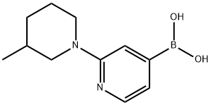 2-(3-Methylpiperidin-1-yl)pyridine-4-boronic acid Structure