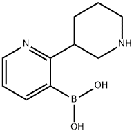 2-(Piperidin-3-yl)pyridine-3-boronic acid Struktur