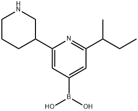 2-(sec-Butyl)-6-(piperidin-3-yl)pyridine-4-boronic acid|