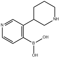 3-(Piperidin-3-yl)pyridine-4-boronic acid Struktur