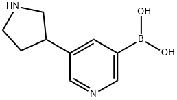 3-(PYRROLIDIN-3-YL)PYRIDINE-5-BORONIC ACID Structure