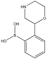 2-(Morpholin-2-yl)phenylboronic acid Struktur