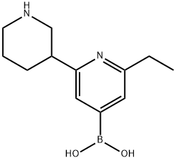 2225153-37-5 2-Ethyl-6-(piperidin-3-yl)pyridine-4-boronic acid