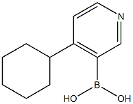 4-(Cyclohexyl)pyridine-3-boronic acid Struktur