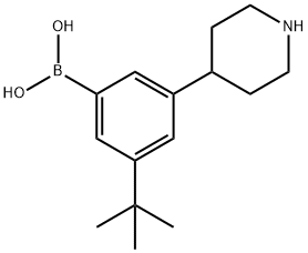 3-(Piperidin-4-yl)-5-(tert-butyl)phenylboronic acid Struktur