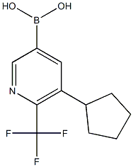 5-Cyclopentyl-6-trifluoromethylpyridine-3-boronic acid Struktur