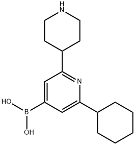 2-Cyclohexyl-6-(piperidin-4-yl)pyridine-4-boronic acid Struktur